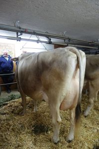 k-Solaris bei Klocker